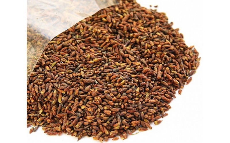 Берёзовая почка (30 гр) — изображение 1