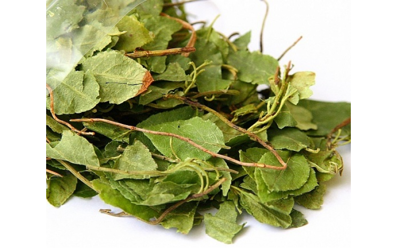 Боровая матка (трава, 25 гр) — изображение 1