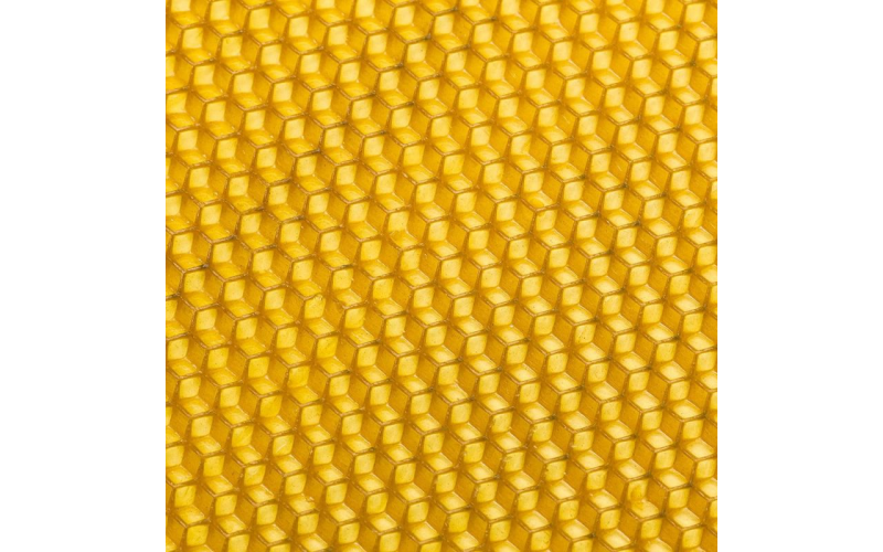 Вощина натуральная — изображение 1