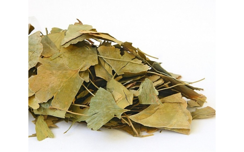 Гинкго Билоба (лист, 40 гр) — изображение 1