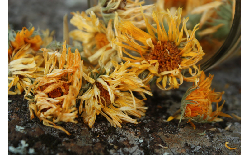 Календула (цвет, 30 гр) — изображение 1