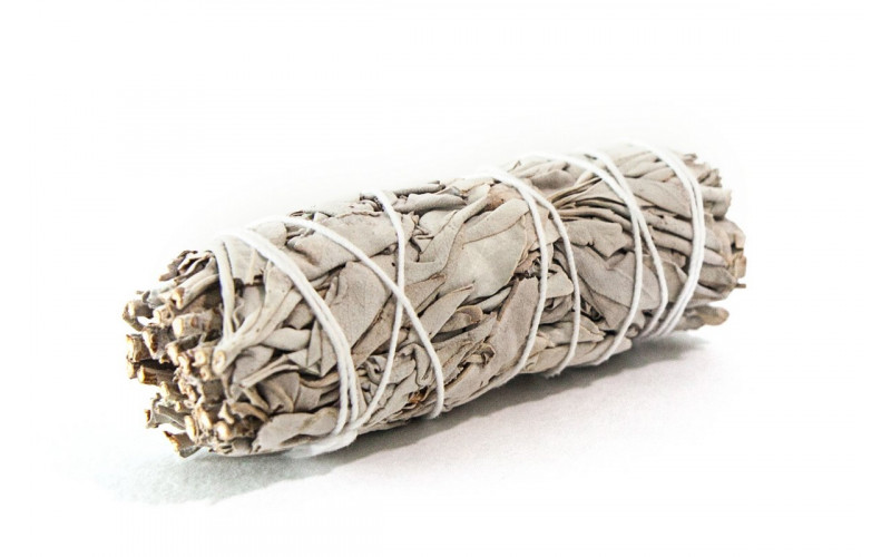 Калифорнийский белый шалфей — изображение 1