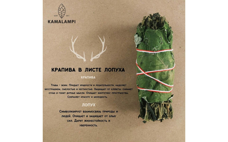 Крапива в лопухе скрутка для окуривания — изображение 1