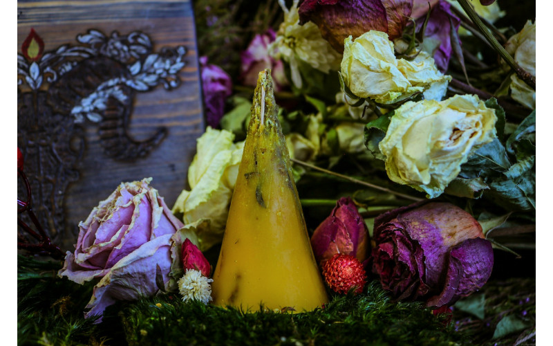 Летний Костер ведьмина свеча без фитиля — изображение 1