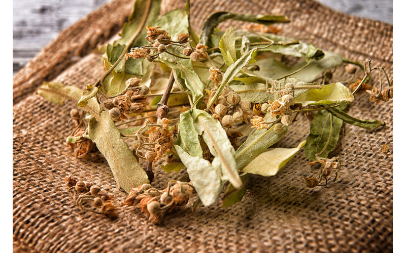 Липа (цвет, 25 гр) — изображение 1