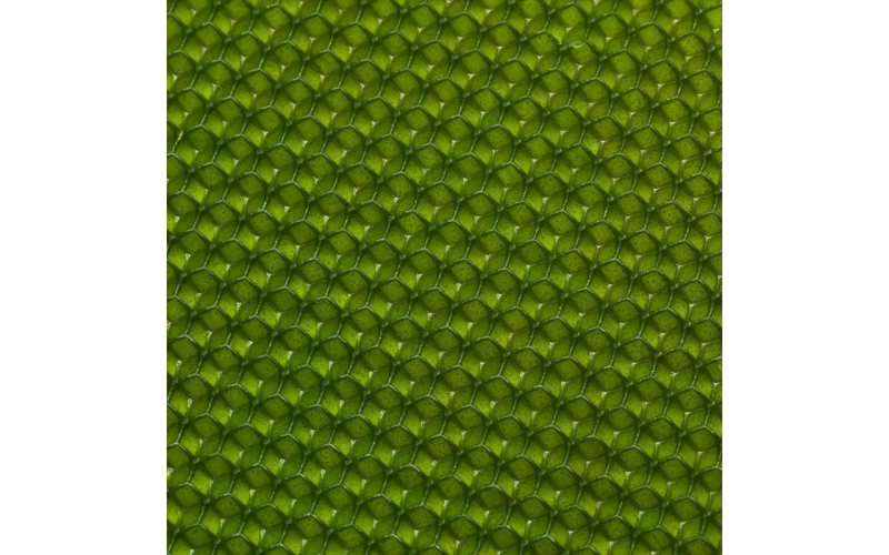 Оливковая вощина — изображение 1