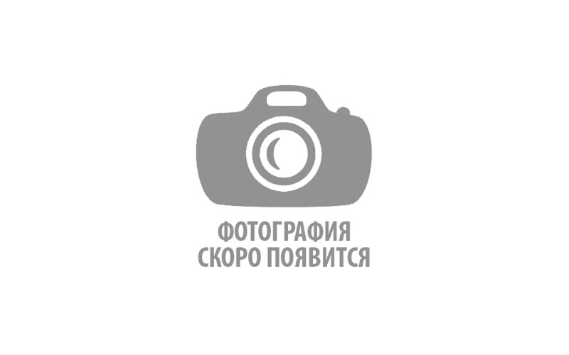 Премиум комплект скандинавских рун из маньчжурского ореха Осколок — изображение 1