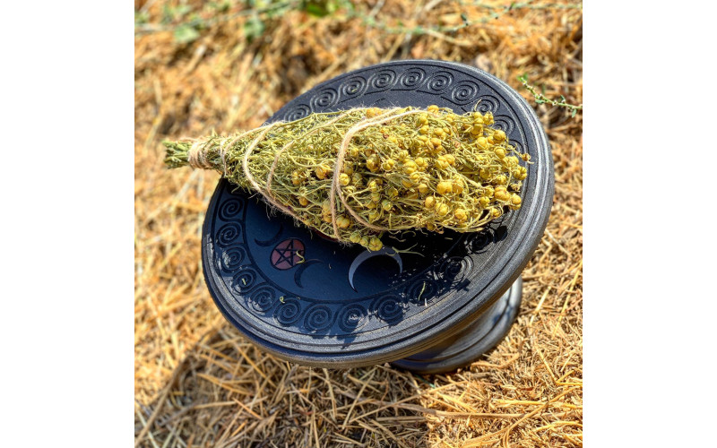 Пучок гармалы (могильник, ведьмина трава) — изображение 1