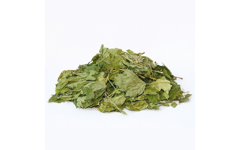 Смородина (лист, 30 гр) — изображение 1