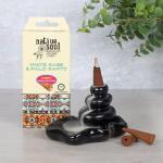 Конусные благовония стелющийся дым Native Soul White Sage & Palo Santo (белый шалфей и пало санто)