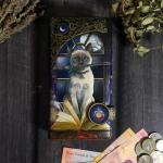 Кошка-колдунья Кошелек