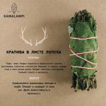 Крапива в лопухе скрутка для окуривания