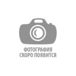 Премиум комплект скандинавских рун из маньчжурского ореха Осколок