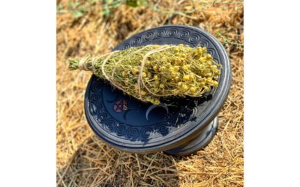 Пучок гармалы (могильник, ведьмина трава)