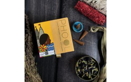 Благовония премиум конусы Phool Нагчампа Nagchampa 40 шт + подставка