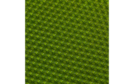 Оливковая вощина