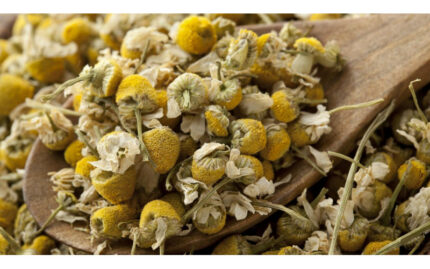 Ромашка (цвет, 35 гр)